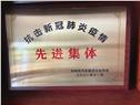 抗击新冠肺炎疫情先进集体